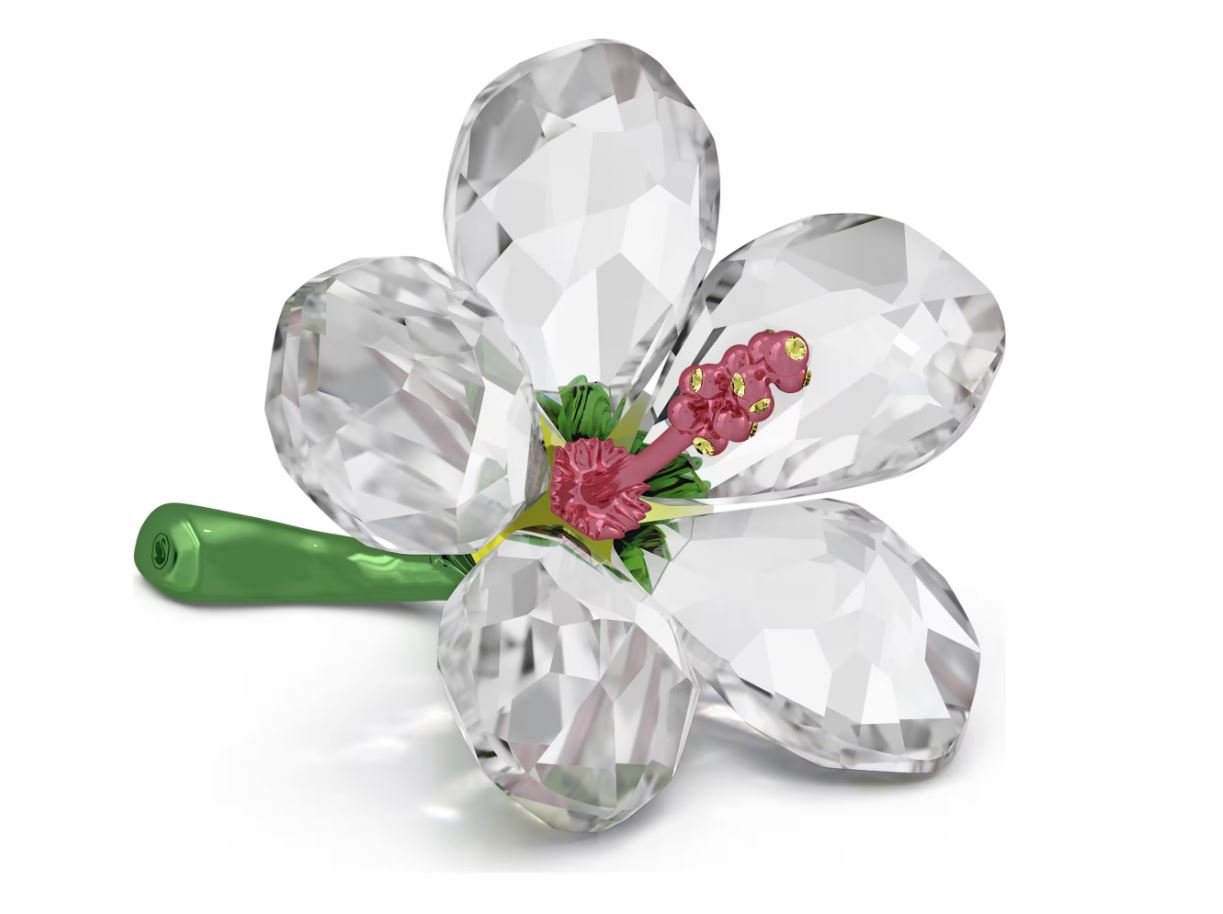 Florere Hibiscus Small