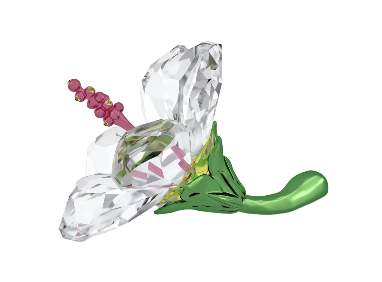 Florere Hibiscus Small - Image 2