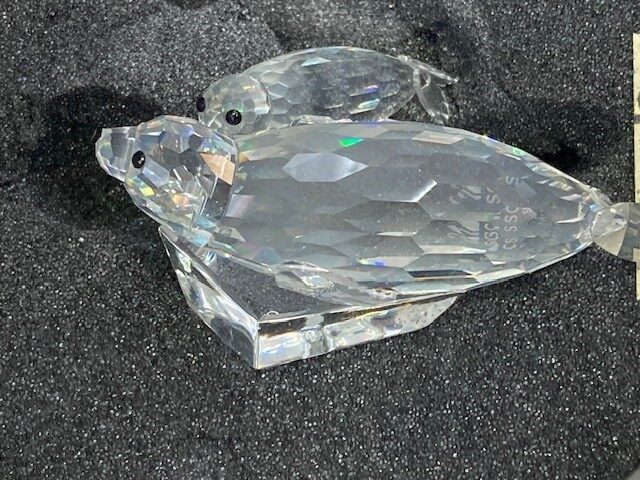 158872 THE SEALS, ANNUAL 1991