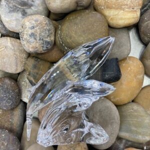 0164614 The Whales SCS 1992