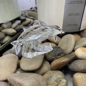 153850 The Dolphins SCS 1990