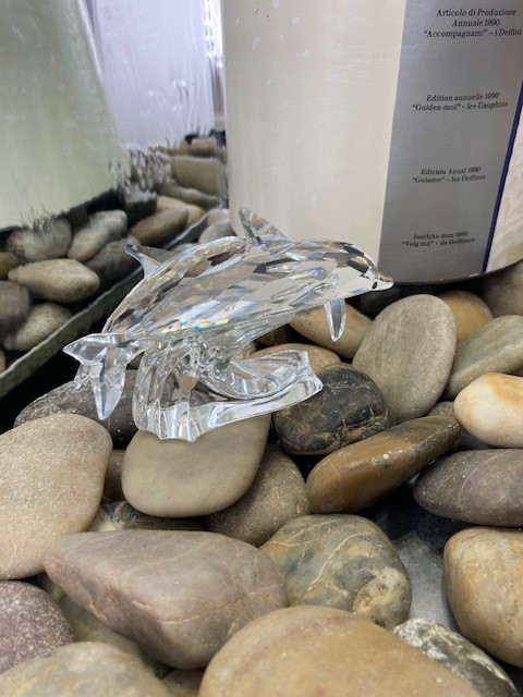 153850 The Dolphins SCS 1990