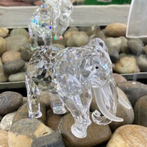 169970  Elephant SCS 1993