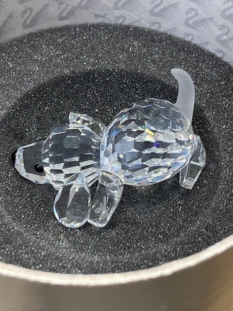 172296 Beagle Puppy Playing - Image 2