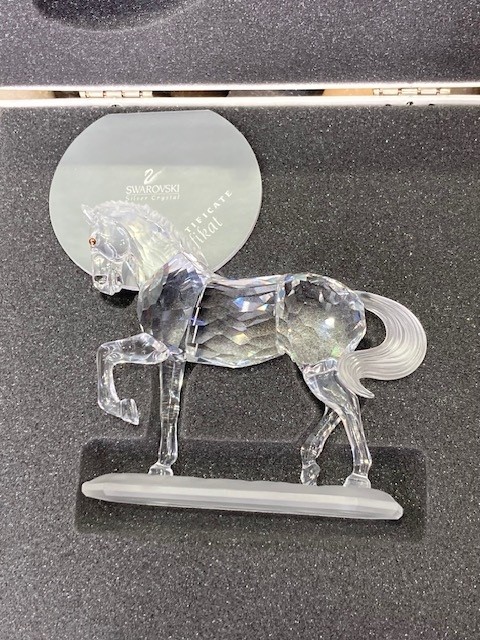 221609 Arabian Stallion