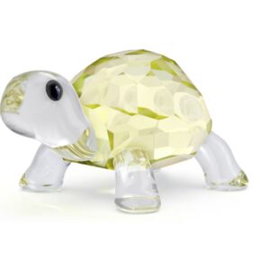 Idyllia Baby Tortoise