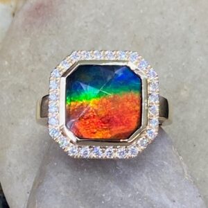 115-17693 RARE AMMOLITE