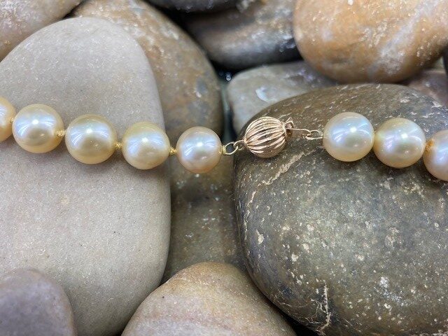115-17736 SOUTH SEA PEARLS - Image 4