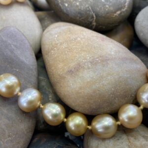 115-17736 SOUTH SEA PEARLS