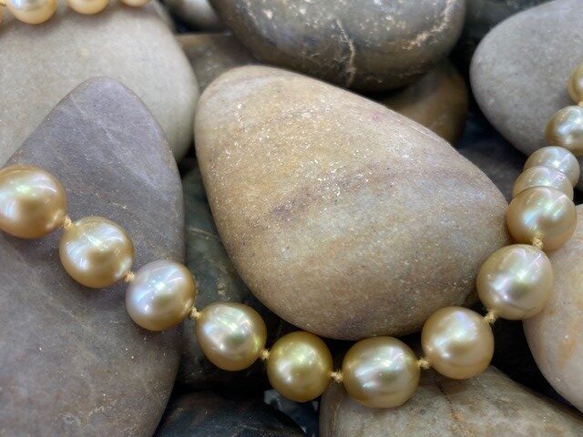 115-17736 SOUTH SEA PEARLS