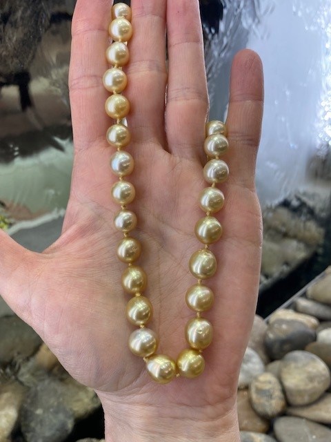 115-17736 SOUTH SEA PEARLS - Image 5
