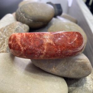 115-17744  FOSSILIZED RED CORAL