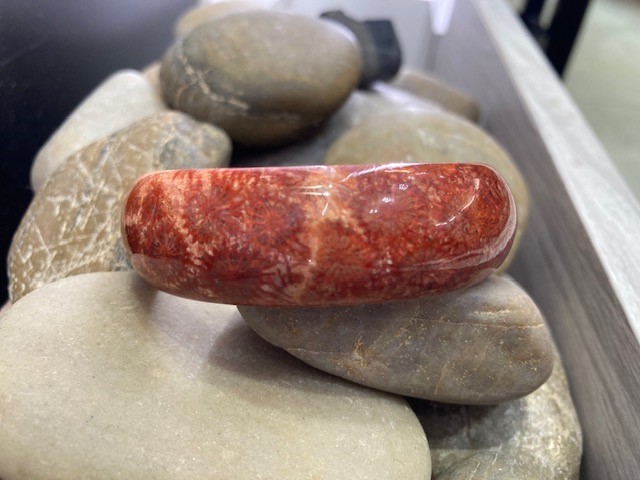 115-17744 FOSSILIZED RED CORAL