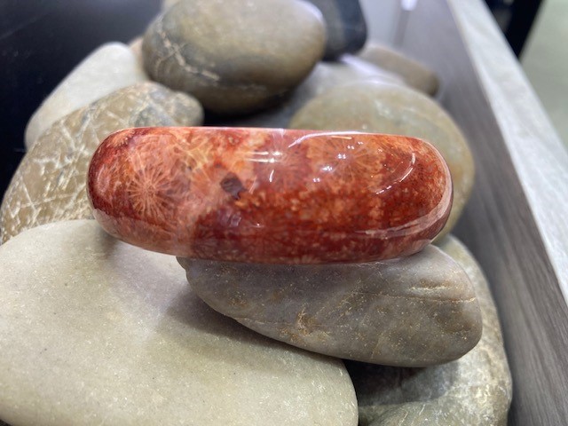 115-17744 FOSSILIZED RED CORAL - Image 2