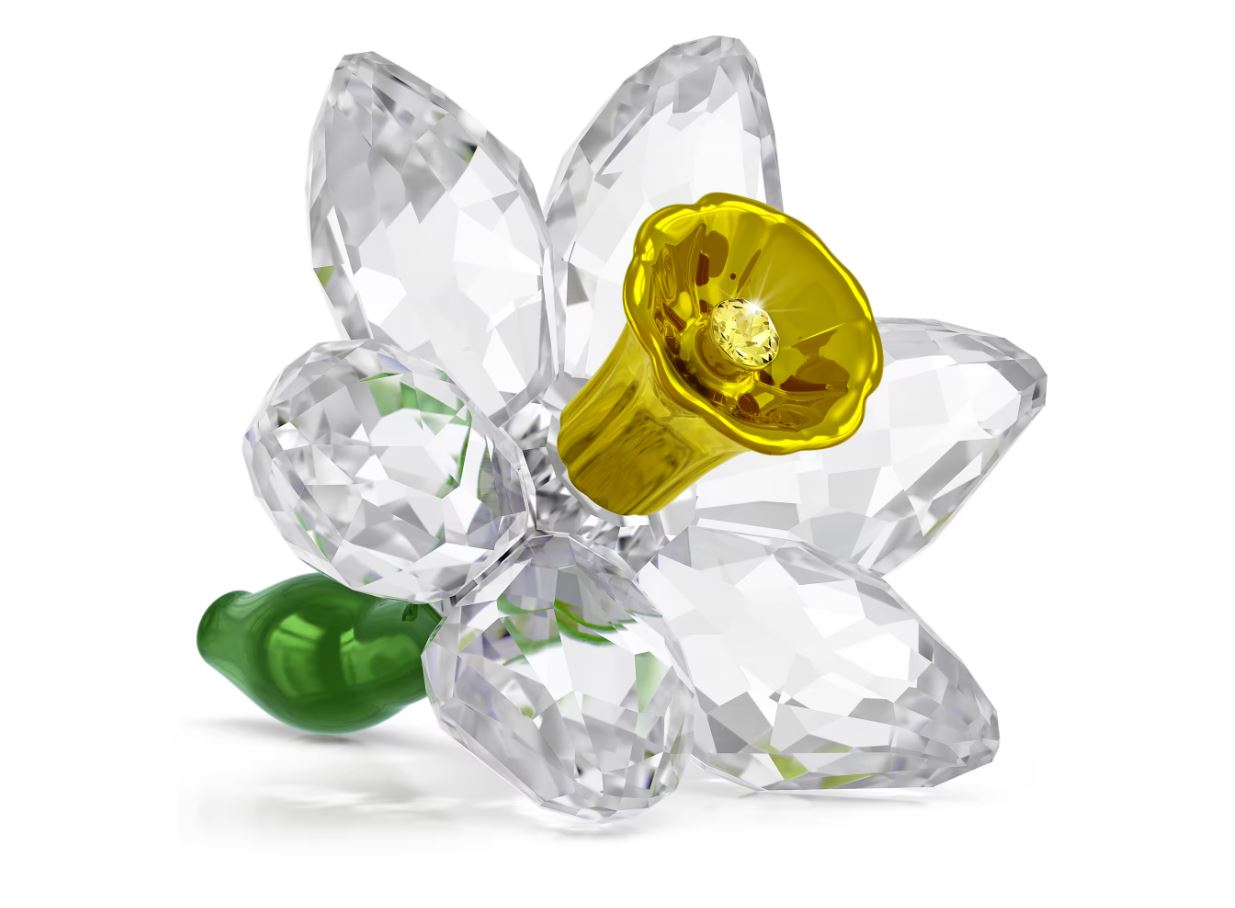 Florere Daffodil